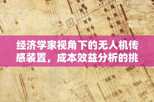 经济学家视角下的无人机传感装置，成本效益分析的挑战与机遇