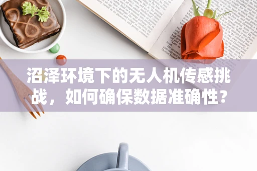 沼泽环境下的无人机传感挑战，如何确保数据准确性？