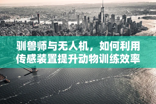 驯兽师与无人机，如何利用传感装置提升动物训练效率？