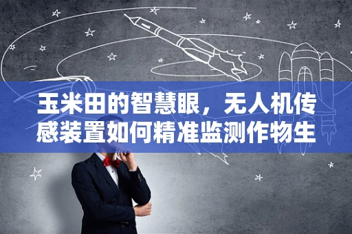 玉米田的智慧眼，无人机传感装置如何精准监测作物生长？