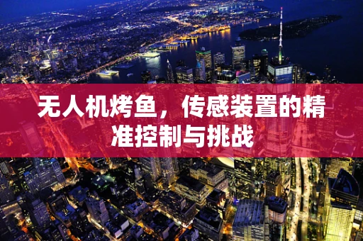 无人机烤鱼，传感装置的精准控制与挑战