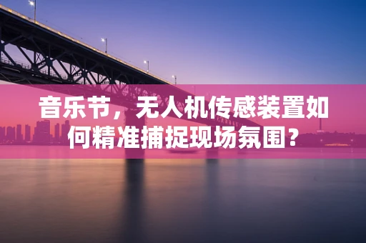 音乐节，无人机传感装置如何精准捕捉现场氛围？