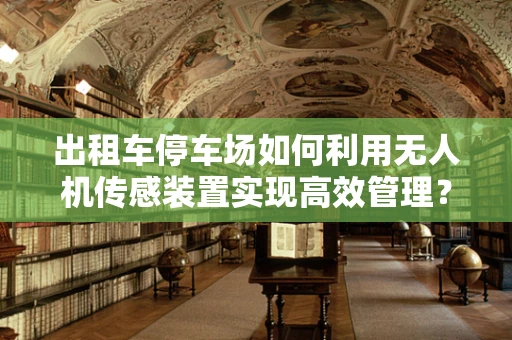 出租车停车场如何利用无人机传感装置实现高效管理？