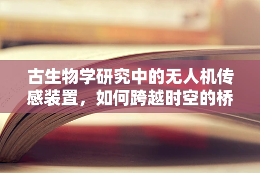 古生物学研究中的无人机传感装置，如何跨越时空的桥梁？