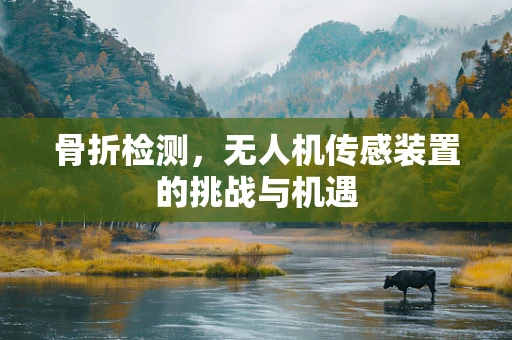 骨折检测，无人机传感装置的挑战与机遇