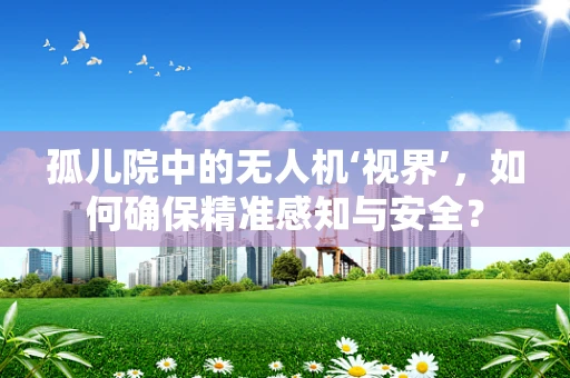 孤儿院中的无人机‘视界’，如何确保精准感知与安全？