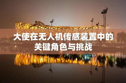 大使在无人机传感装置中的关键角色与挑战