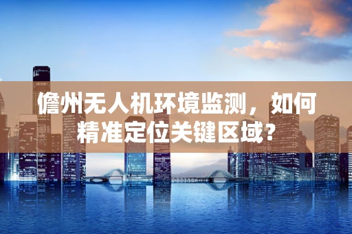 儋州无人机环境监测，如何精准定位关键区域？