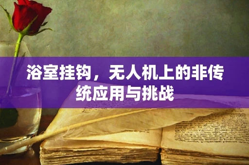 浴室挂钩，无人机上的非传统应用与挑战