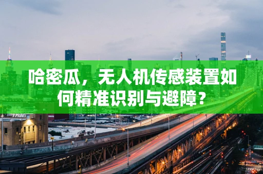 哈密瓜，无人机传感装置如何精准识别与避障？