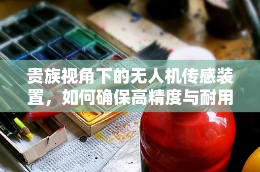 贵族视角下的无人机传感装置，如何确保高精度与耐用性的平衡？