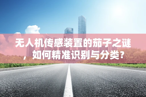无人机传感装置的茄子之谜，如何精准识别与分类？