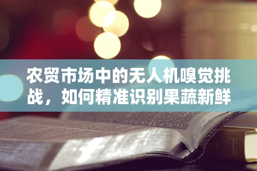 农贸市场中的无人机嗅觉挑战，如何精准识别果蔬新鲜度？