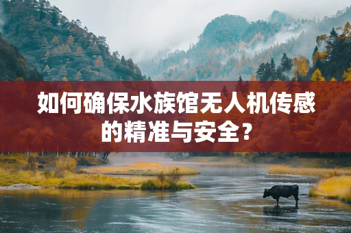 如何确保水族馆无人机传感的精准与安全？