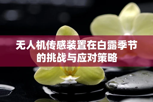 无人机传感装置在白露季节的挑战与应对策略