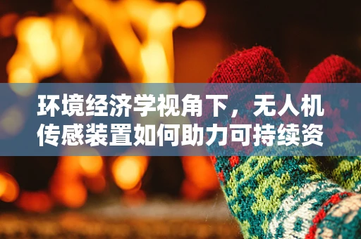环境经济学视角下，无人机传感装置如何助力可持续资源管理？
