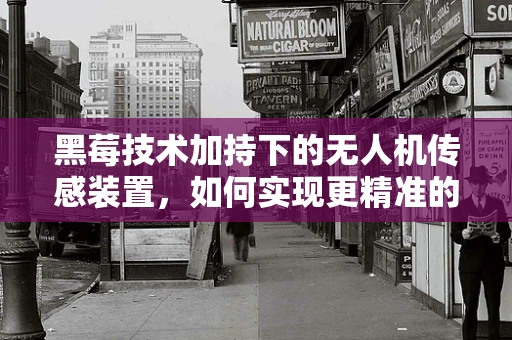 黑莓技术加持下的无人机传感装置，如何实现更精准的飞行控制？