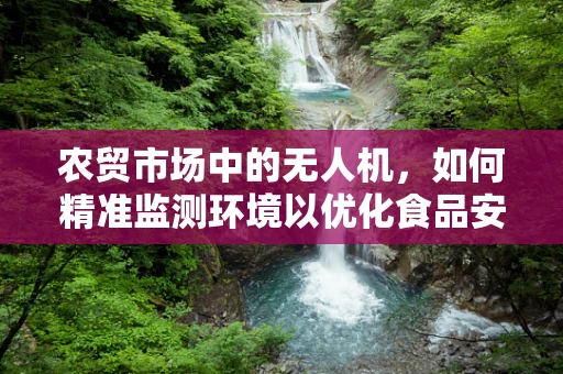 农贸市场中的无人机，如何精准监测环境以优化食品安全？