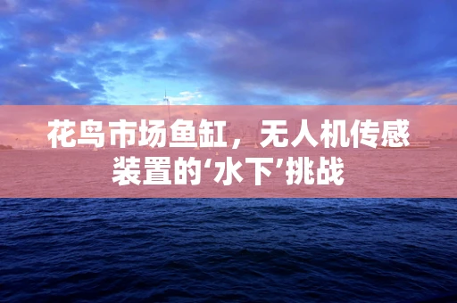 花鸟市场鱼缸，无人机传感装置的‘水下’挑战