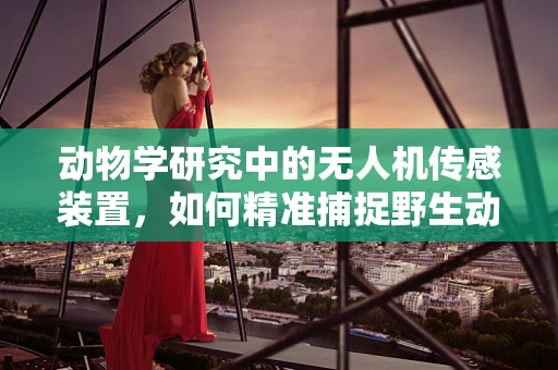动物学研究中的无人机传感装置，如何精准捕捉野生动物行为？