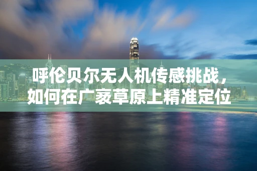 呼伦贝尔无人机传感挑战，如何在广袤草原上精准定位与监测？