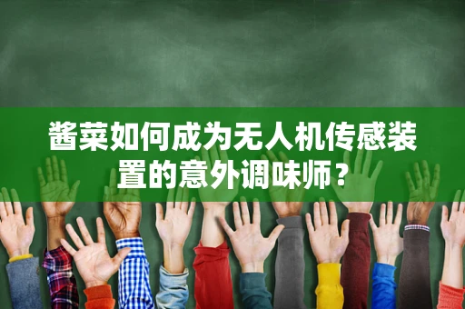 酱菜如何成为无人机传感装置的意外调味师？