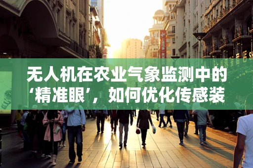 无人机在农业气象监测中的‘精准眼’，如何优化传感装置以提高数据精度？