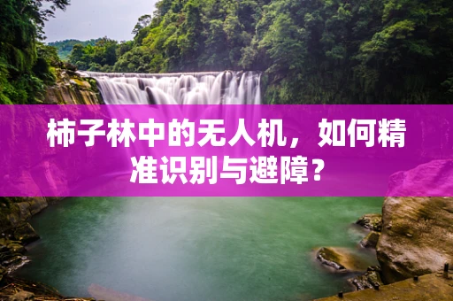 柿子林中的无人机，如何精准识别与避障？