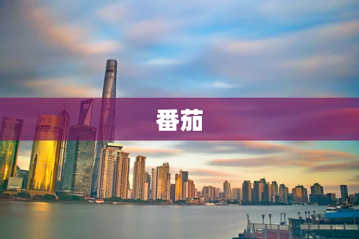 番茄