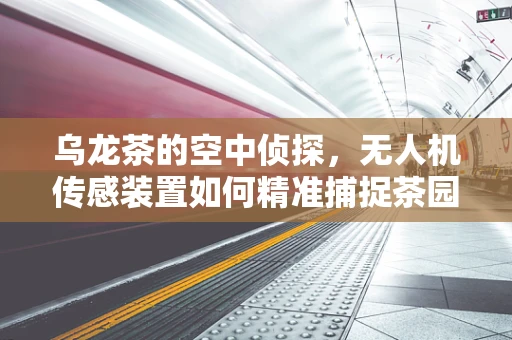 乌龙茶的空中侦探，无人机传感装置如何精准捕捉茶园环境？