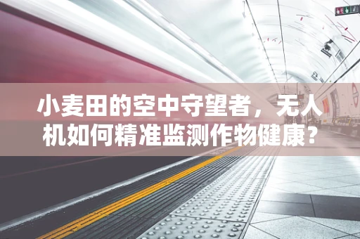 小麦田的空中守望者，无人机如何精准监测作物健康？