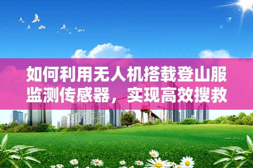 如何利用无人机搭载登山服监测传感器，实现高效搜救？