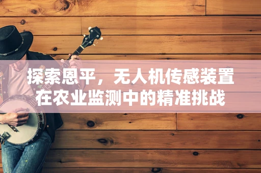 探索恩平，无人机传感装置在农业监测中的精准挑战