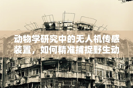 动物学研究中的无人机传感装置，如何精准捕捉野生动物行为？