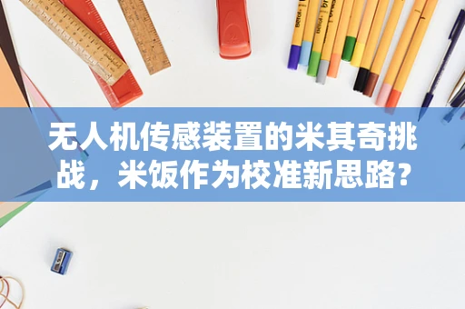 无人机传感装置的米其奇挑战，米饭作为校准新思路？