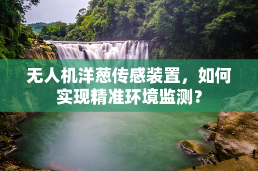 无人机洋葱传感装置，如何实现精准环境监测？