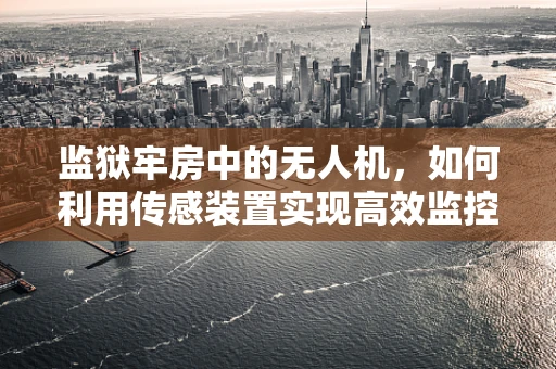 监狱牢房中的无人机，如何利用传感装置实现高效监控？