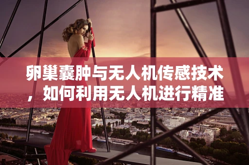 卵巢囊肿与无人机传感技术，如何利用无人机进行精准医疗监测？