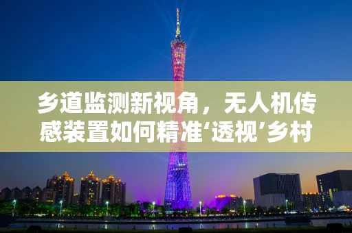 乡道监测新视角，无人机传感装置如何精准‘透视’乡村道路状况？
