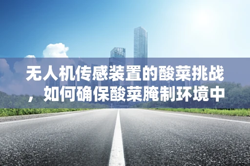 无人机传感装置的酸菜挑战，如何确保酸菜腌制环境中的数据准确性？
