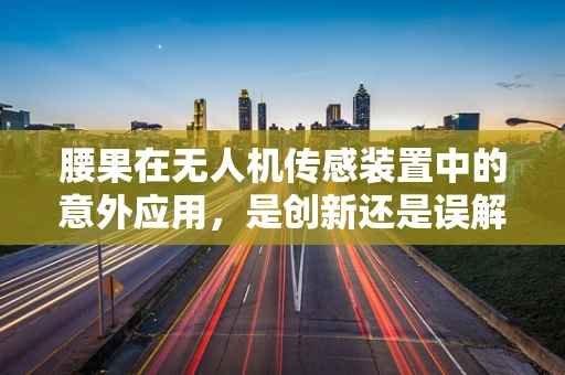 腰果在无人机传感装置中的意外应用，是创新还是误解？
