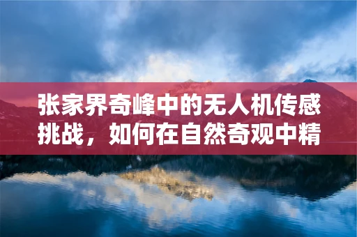 张家界奇峰中的无人机传感挑战，如何在自然奇观中精准导航？