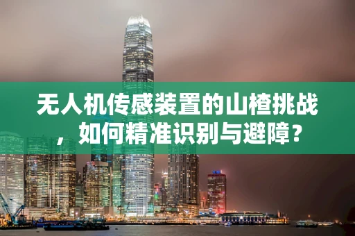 无人机传感装置的山楂挑战，如何精准识别与避障？