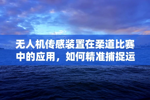 无人机传感装置在柔道比赛中的应用，如何精准捕捉运动员的动态？
