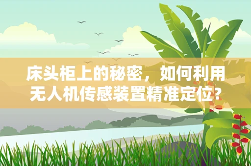 床头柜上的秘密，如何利用无人机传感装置精准定位？