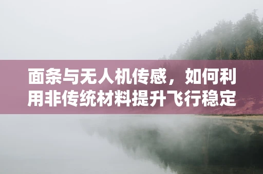 面条与无人机传感，如何利用非传统材料提升飞行稳定性？