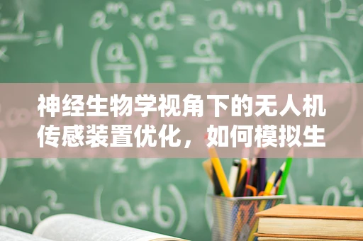 神经生物学视角下的无人机传感装置优化，如何模拟生物视觉系统提升感知精度？