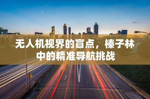 无人机视界的盲点，榛子林中的精准导航挑战