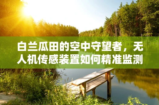 白兰瓜田的空中守望者，无人机传感装置如何精准监测？