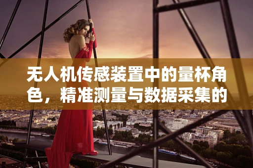 无人机传感装置中的量杯角色，精准测量与数据采集的微妙平衡
